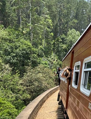 Calypso Train Journey